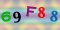 6-9-F-8-8